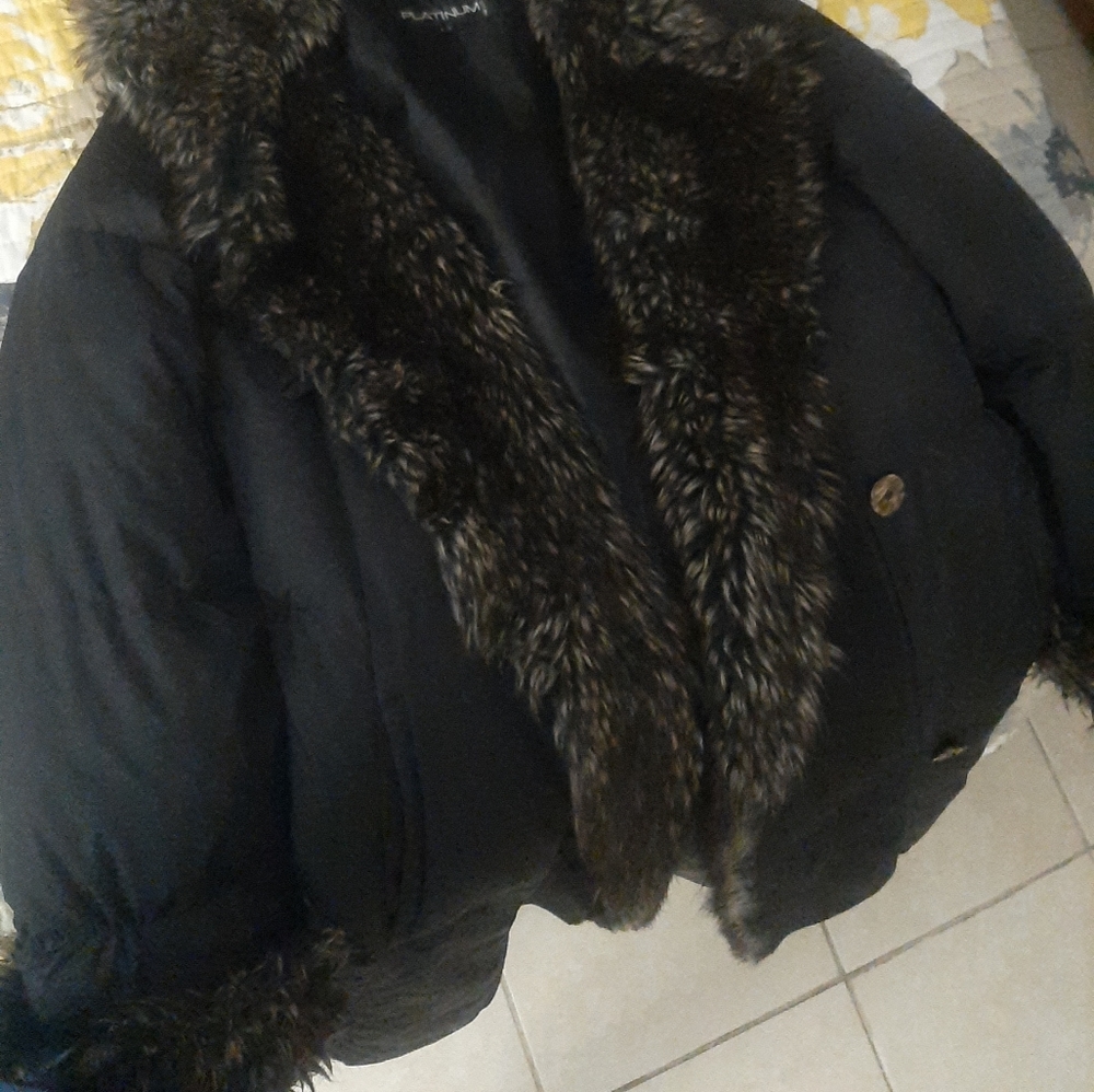 Coat - Picture 2 of 5